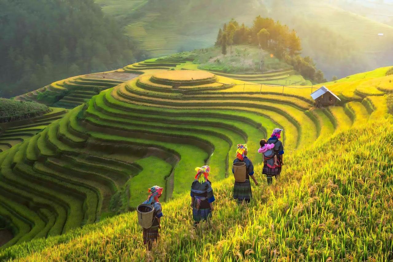 Central Sapa Charm Hotel Dış mekan fotoğraf