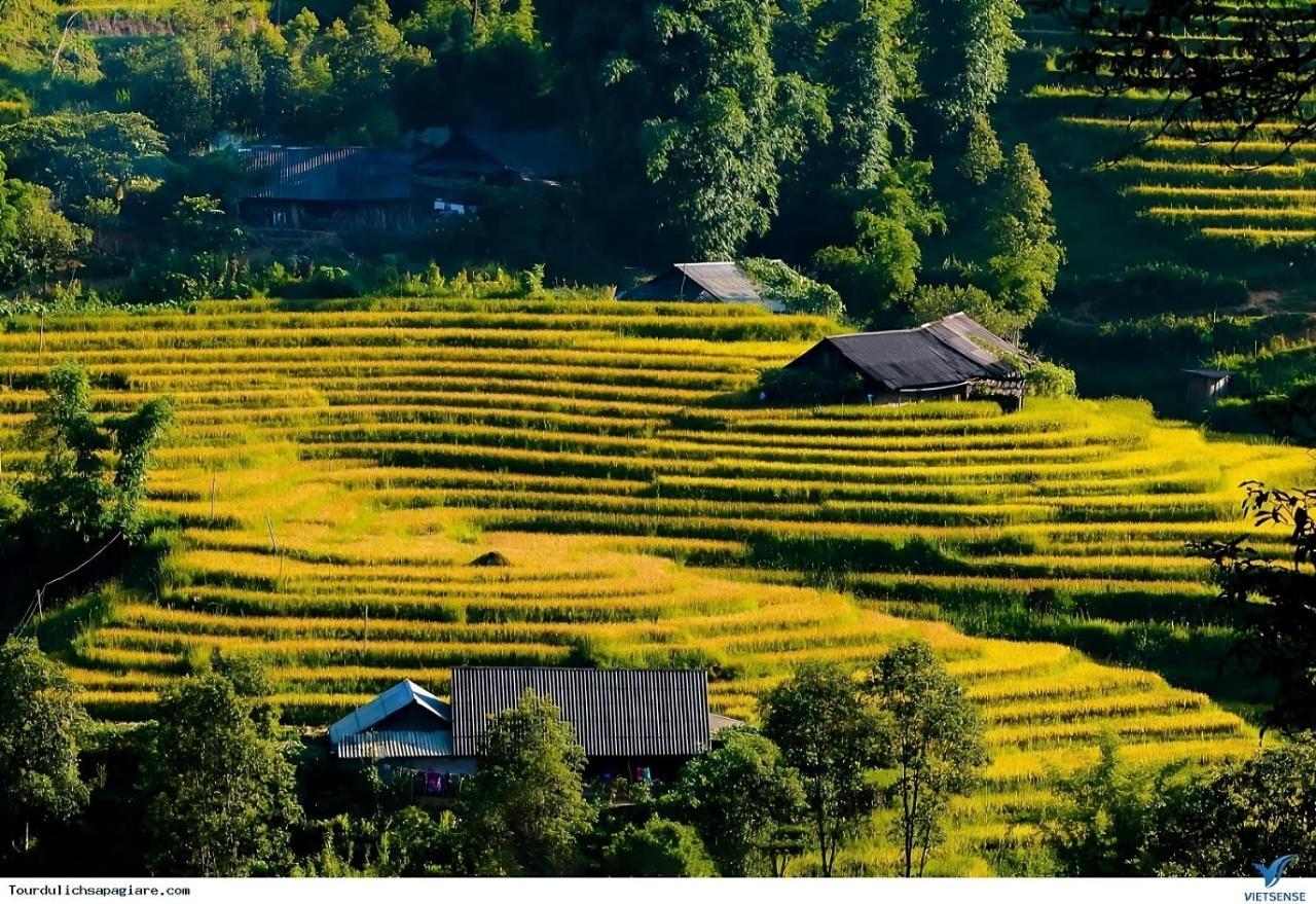 Central Sapa Charm Hotel Dış mekan fotoğraf